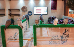 Read more about the article Top Spanish falcon farm joins Riyadh auction